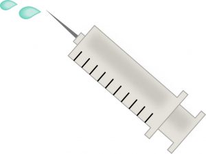 インフルエンザ 予防接種 いつから 効く 大人 2回