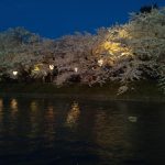 弘前さくらまつり 夜桜 駐車場 ライトアップ 時間 屋台