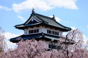 弘前公園 桜 ゴールデンウィーク 種類 見どころ