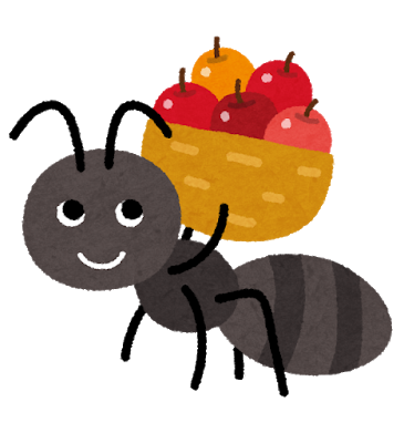 台所のアリ対策 蟻の侵入経路と退治におすすめの殺虫剤は くららく