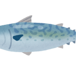青魚 種類